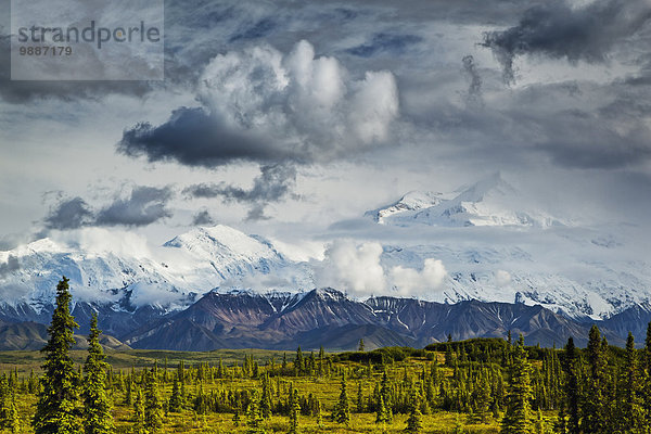 Nationalpark Landschaftlich schön landschaftlich reizvoll Wolke Sommer über Sturm Ansicht Denali Nationalpark Mount McKinley