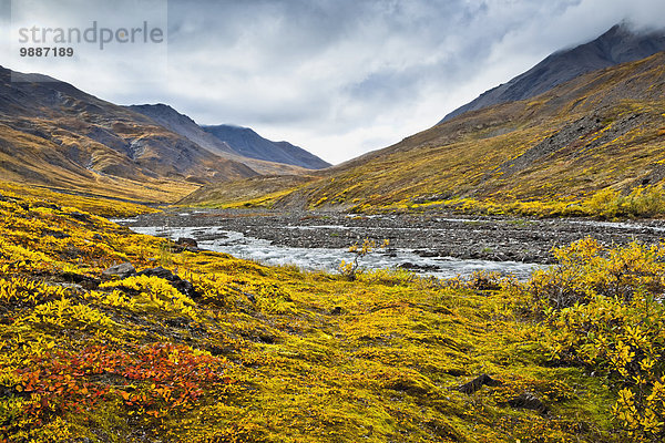 Nationalpark Farbaufnahme Farbe Tal Herbst Eingang Bach Arktis