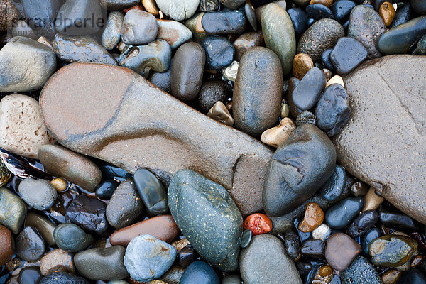 Stein Amerika Strand Verbindung Oregon