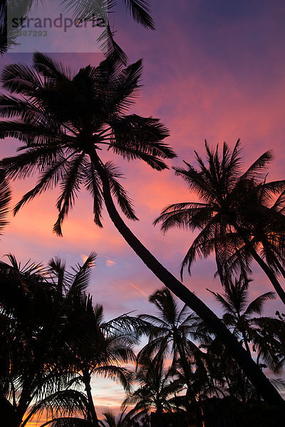 Amerika Strand Sonnenuntergang Verbindung Hawaii Maui Wailea