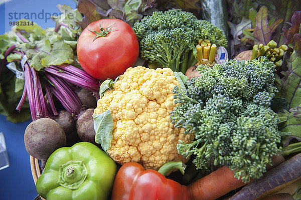 Frische Amerika Korb Gemüse ernten Verbindung Alaska