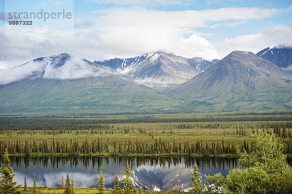 Nationalpark Landschaftlich schön landschaftlich reizvoll Sommer innerhalb Ansicht Denali Nationalpark