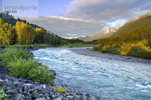 Farbaufnahme Farbe Hektik Druck hektisch Fluss Herbst British Columbia Kanada Laub