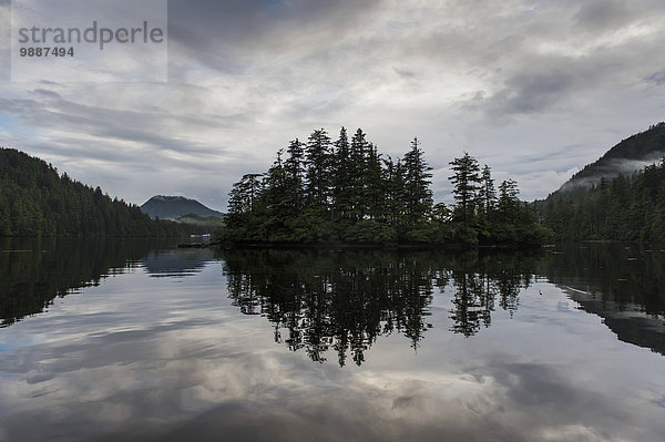 Wasser Ruhe Baum Küste Spiegelung vorwärts British Columbia Kanada