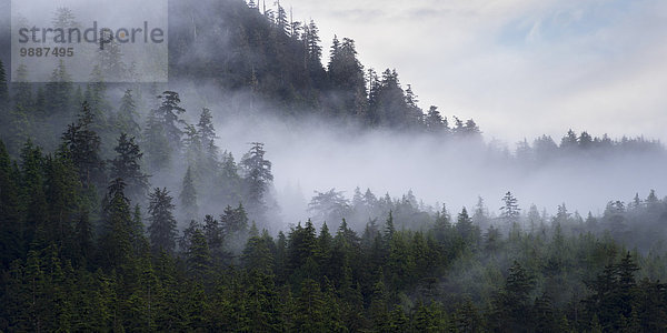 Wald Nebel Berglandschaft Siedlung British Columbia Kanada