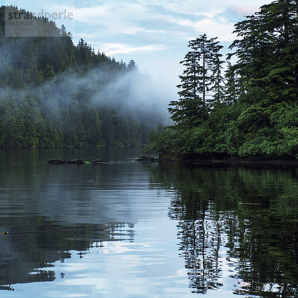 Wasser Ruhe Baum Himmel Spiegelung British Columbia Kanada