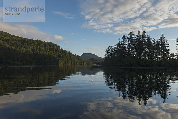 Wasser Ruhe Baum Himmel Spiegelung British Columbia Kanada