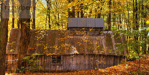 Wohnhaus Herbst Zucker Kanada Quebec