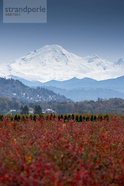 sehen Bauernhof Hof Höfe Feld britisch British Columbia Kanada