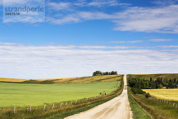 Wolke Himmel Hügel grün Fernverkehrsstraße Feld blau Kies 1 Hafer Seitenansicht Alberta Kanada klettern