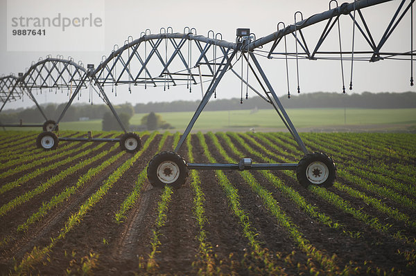 Amerika Agrarland Verbindung Bewässerung
