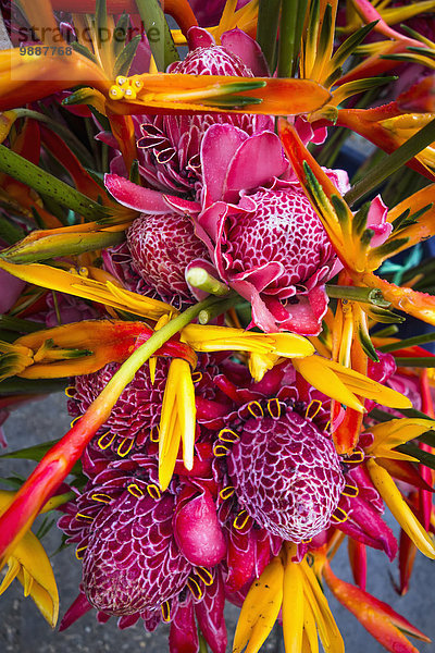 Blume Anordnung Markt Vanuatu