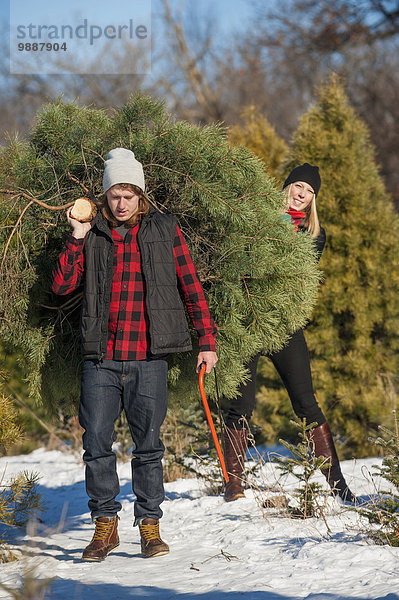 Frische schneiden Bauernhof Hof Höfe Weihnachtsbaum Tannenbaum auswählen Verbindung