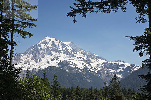 Vereinigte Staaten von Amerika USA Landschaftlich schön landschaftlich reizvoll Sommer Ansicht Berg Zimmer Mount Rainier Nationalpark