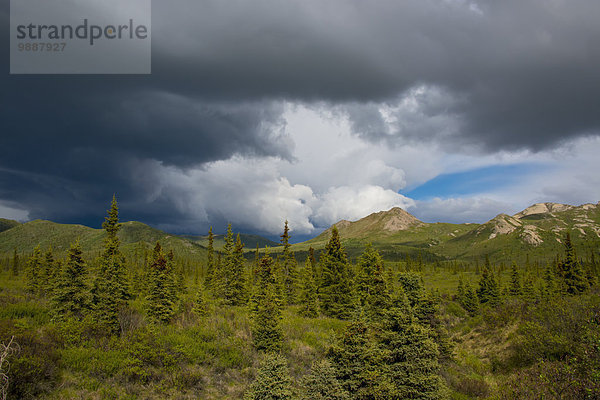 Nationalpark Sturm nähern Denali Nationalpark