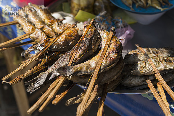 Fisch Pisces Kambodscha Markt