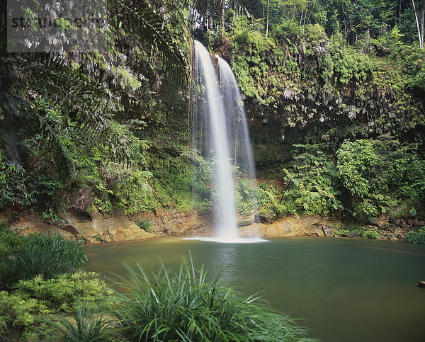 Regenwald Wasserfall Sarawak