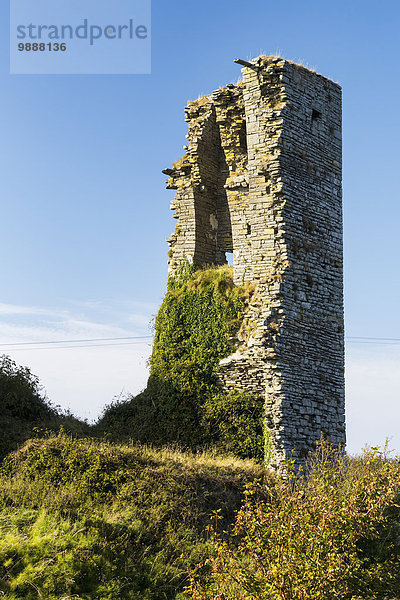 Steinmauer Wand Himmel Hügel Wachstum blau Vernichtung Clare County Laub Irland