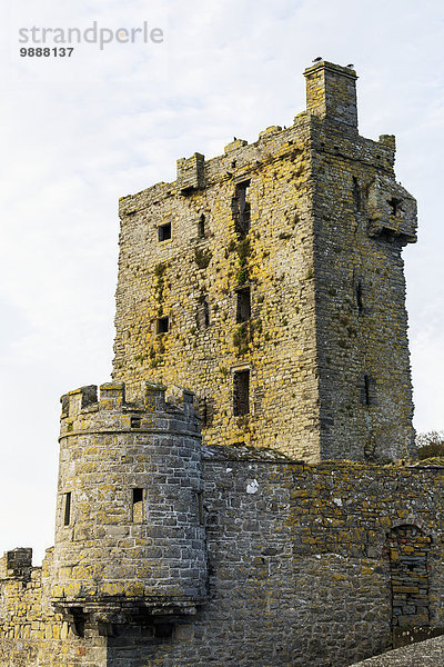 Stein Wand Palast Schloß Schlösser Schloßturm Clare County Irland alt