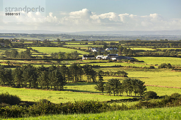 Wolke Baum Himmel Feld blau Wiese flach Clare County Irland