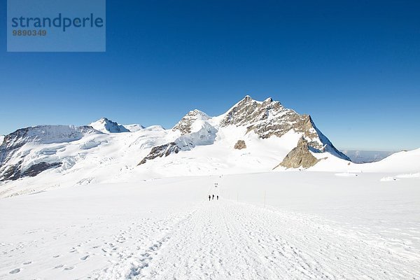 Blick auf Spuren in verschneiter Berglandschaft  Jungfrauchjoch  Grindelwald  Schweiz