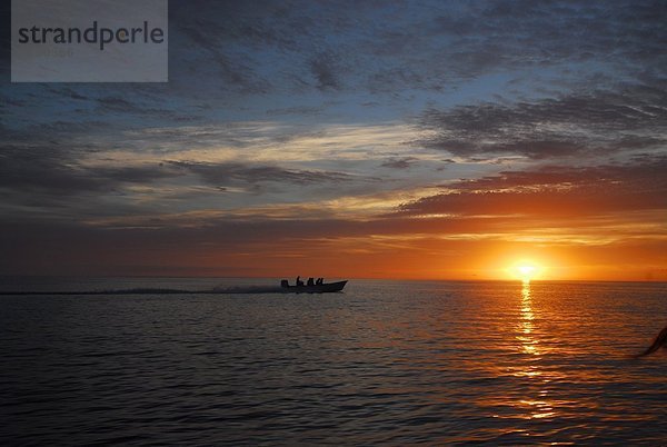 Silhouettenboot bei Sonnenaufgang  Magdalena Bay  Baja  Kalifornien  Mexiko