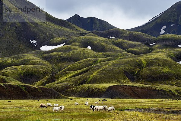 Landmannalaugar  Hochland von Island