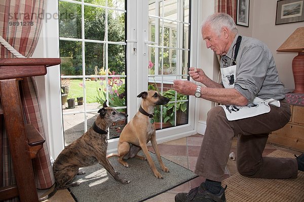 Senior Mann  der den Hunden beibringt  auf Leckereien zu warten.