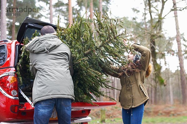 Junges Paar hebt Weihnachtsbaum in den Kofferraum