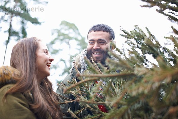 Junges Paar sammelt Weihnachtsbaum aus dem Wald