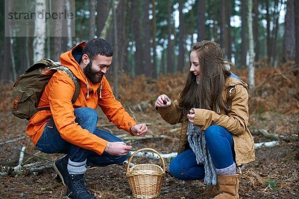 Junges Wanderpaar beim Sammeln von Tannenzapfen im Wald