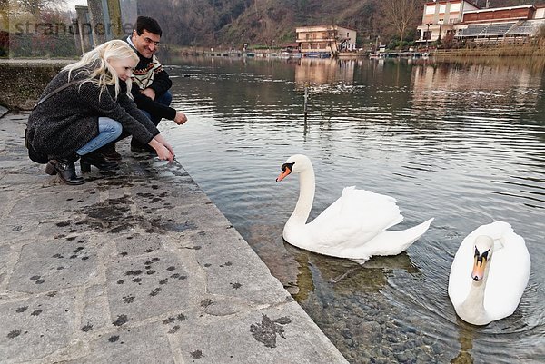 Heterosexuelles Paar kauernd von Schwänen auf dem See  Lombardei  Italien