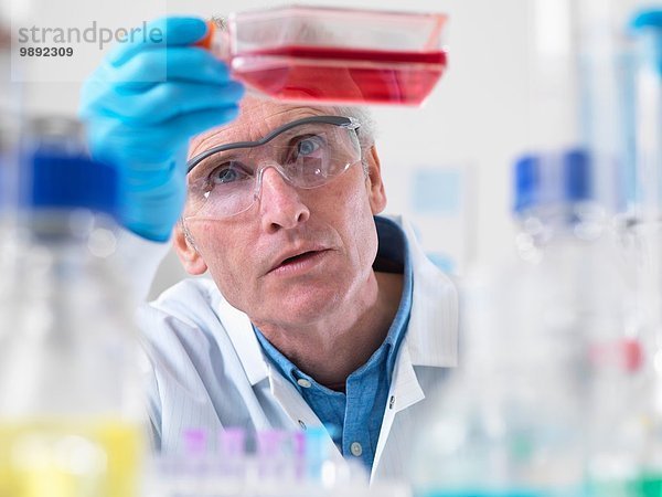 Nahaufnahme eines Zellbiologen  der eine Flasche mit Stammzellen hält.