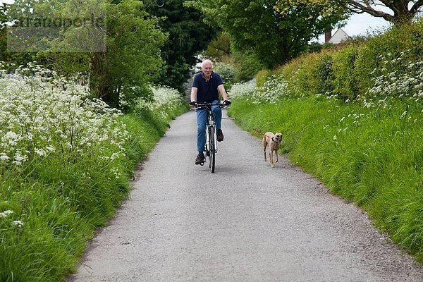 Seniorenfahrrad auf dem Landweg mit Hund