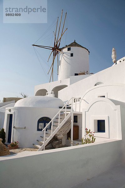 Weiße Häuser und Windmühle  Oia  Santorini  Kykladen  Griechenland