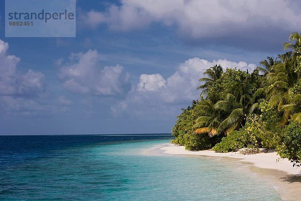 Leerer Strand auf einer tropischen Insel  Vilamendhoo Island  Ari Atoll  Malediven
