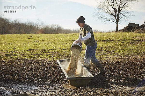 Reifer Bauer  der Getreide in den Futtertrog auf dem Feld gießt.