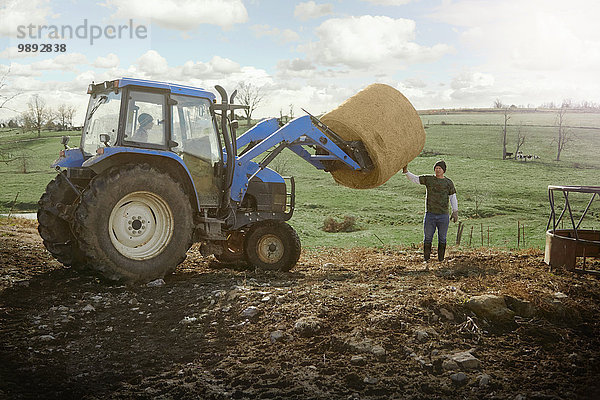 Landwirtschaftsbrüder fahren Traktor und bewegen Heuhaufen auf dem Milchviehbetrieb