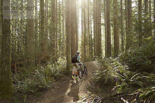 Junger Mann geht mit dem Mountainbike durch den Wald  Rückansicht