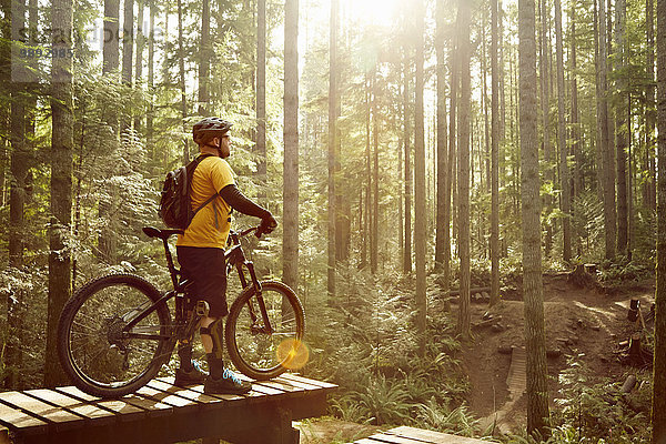 Erwachsener Mann stehend mit Mountainbike  im Wald  Rückansicht