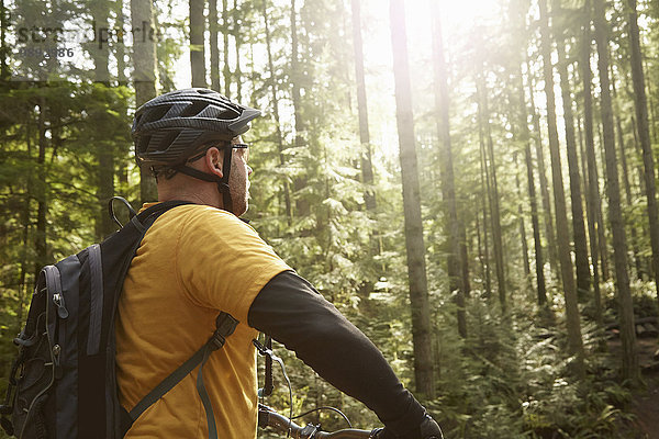 Erwachsener Mann auf dem Fahrrad im Wald  Rückansicht