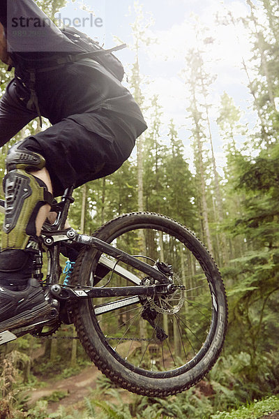 Erwachsener Mann auf dem Mountainbike im Wald  niedriger Abschnitt