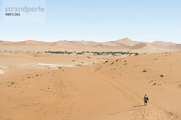 Namibia  Namib Wüste  Namib Naukluft Park  Sossusvlei  Wüstenwanderer