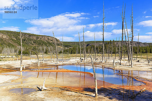 USA  Yellowstone Nationalpark  Schwarzes Sandbecken  Opaleszierender Pool