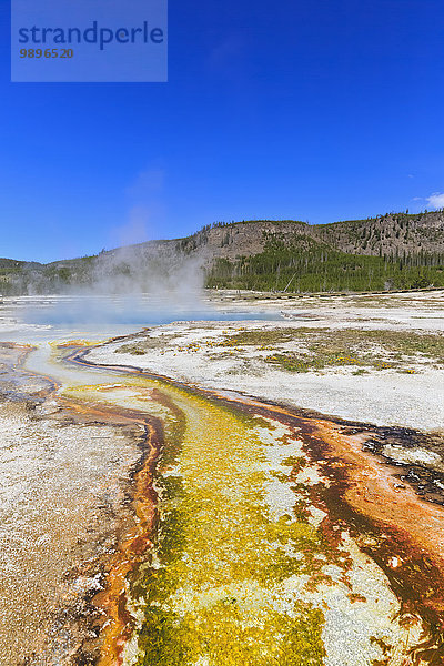 USA  Yellowstone Nationalpark  Bisuit-Becken  Saphir-Pool  Abfluss mit thermophilen Bakterien und Algen