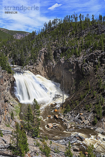 USA  Yellowstone Nationalpark  Blick auf die Gibbon Falls