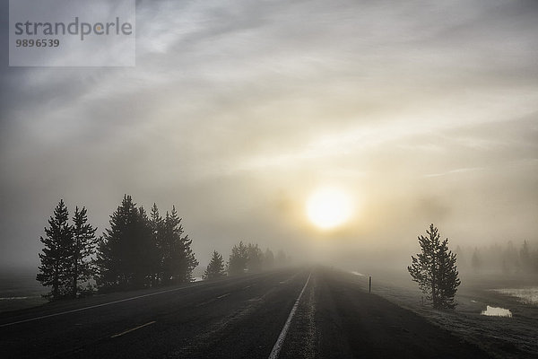 USA  Yellowstone Nationa Park  Morgenstimmung  Straße und Nebel bei Sonnenaufgang