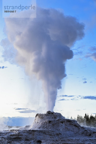 USA  Wyoming  Yellowstone Nationalpark  Upper Geyser Basin  Castle Geyser Eruption