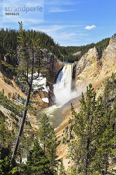 USA  Wyoming  Yellowstone Nationalpark  Yellowstone River  Grand Canyon des Yellowstone  Lower Yellowstone Falls