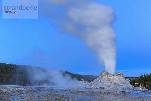 USA  Wyoming  Yellowstone Nationalpark  Upper Geyser Basin  Castle Geyser Ausbruch  blaue Stunde